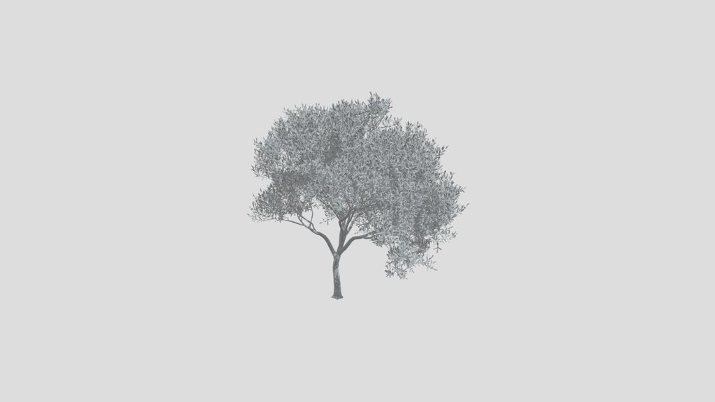 Olive Tree City Large