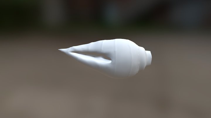 Concha do mar 3D Model