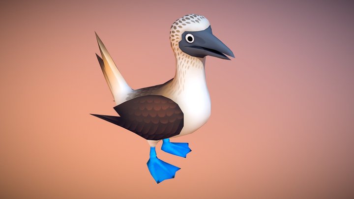 Blue footed booby 3D Model