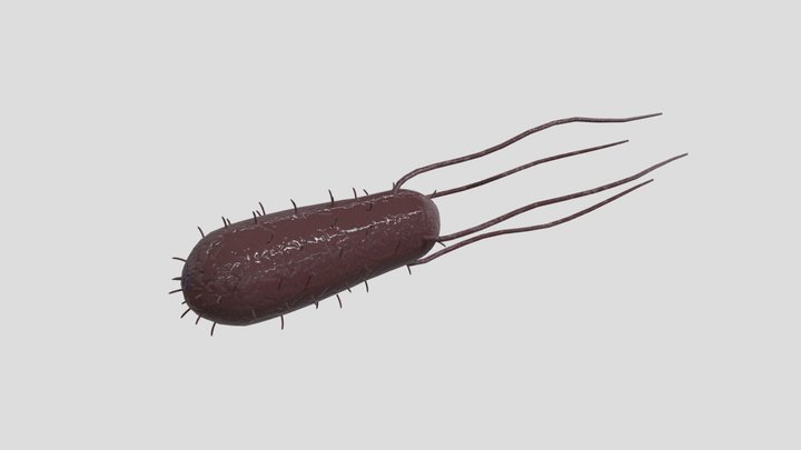 Ganjun_test 3D Model
