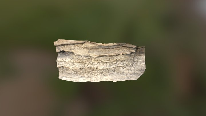 Stratified Sandstone 3D Model