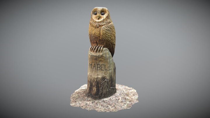 Britain's Most Famous Tawny Owl Mabel 3D Model