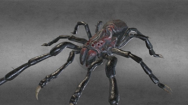 Kin 3D models - Sketchfab