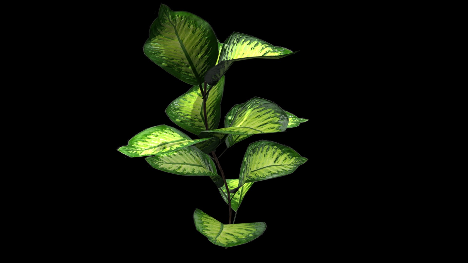 3D model Tropical plant