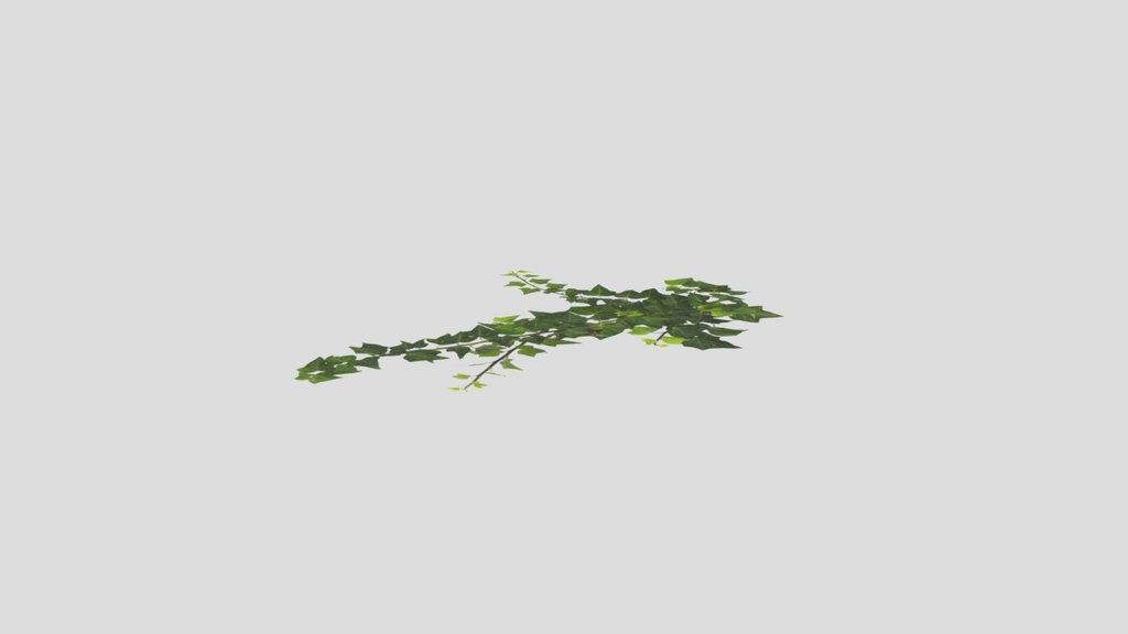Building Decor Ivy 002