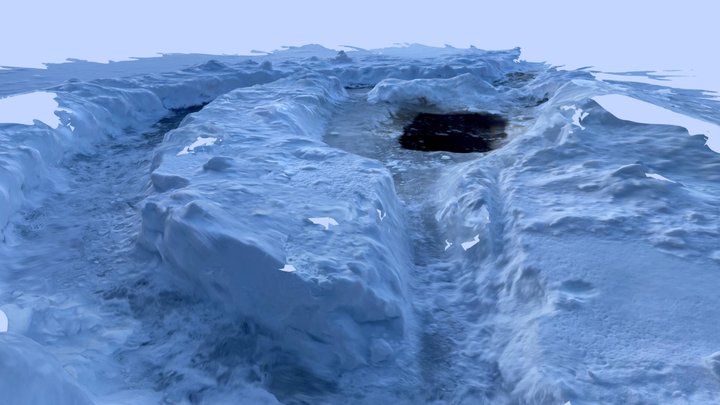 Ice Swim 3D Model
