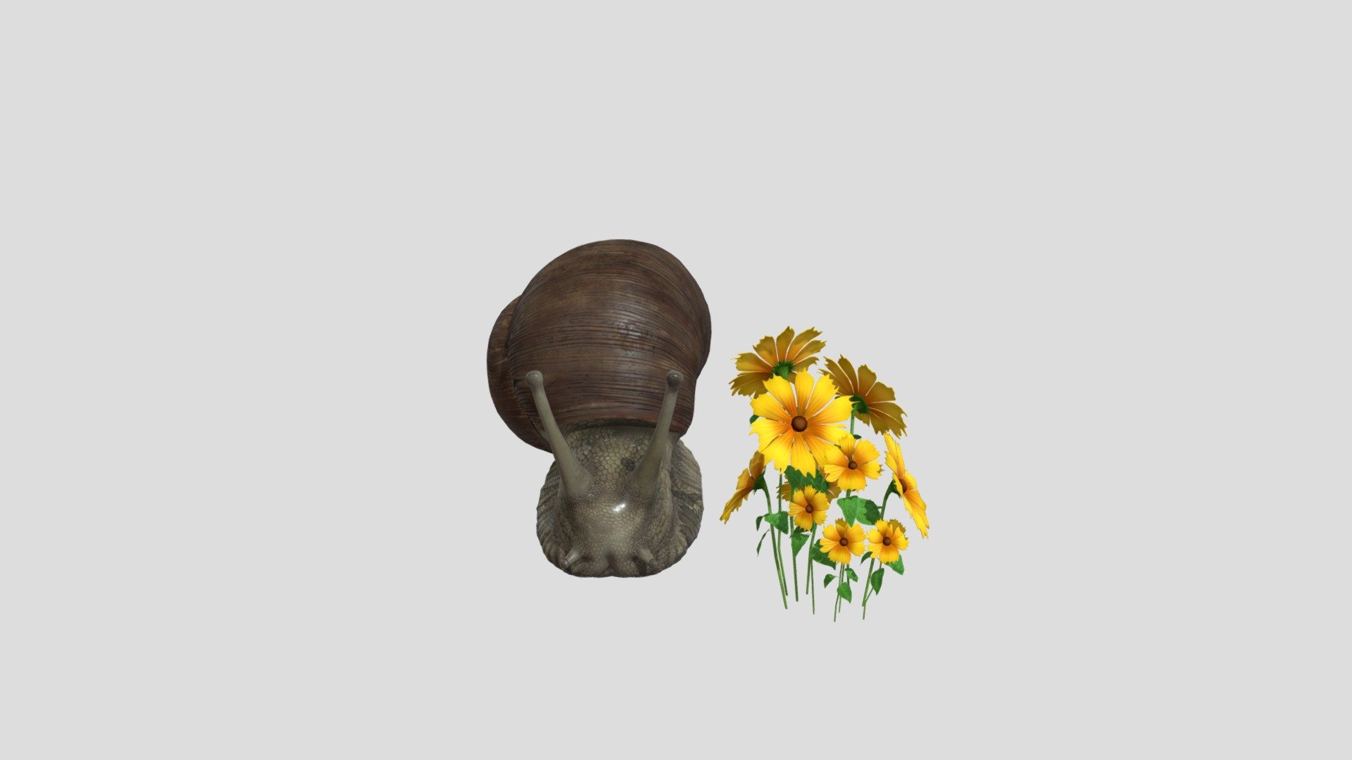 Lumaca con fiori gialli