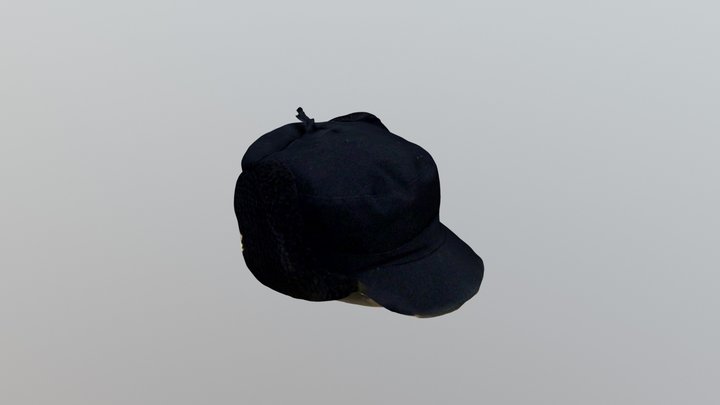 Ushanka Hat 3D Model