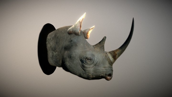 Rhino Head – Free 3D Model STL