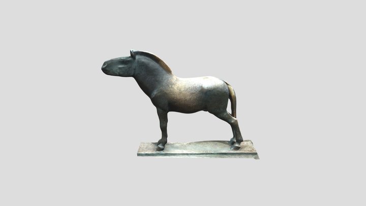 Przewalski Stallion Praha - Prague Zoo 3D Model