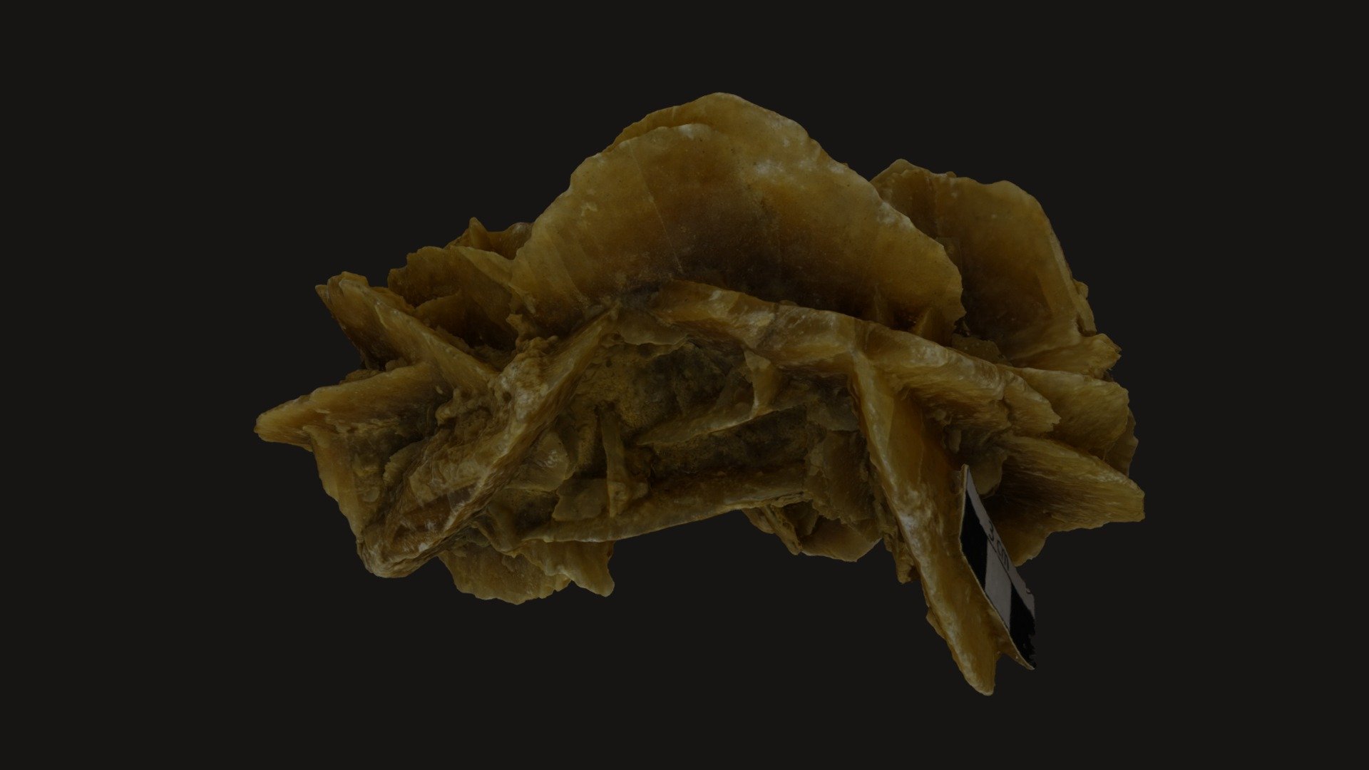 Desert rose