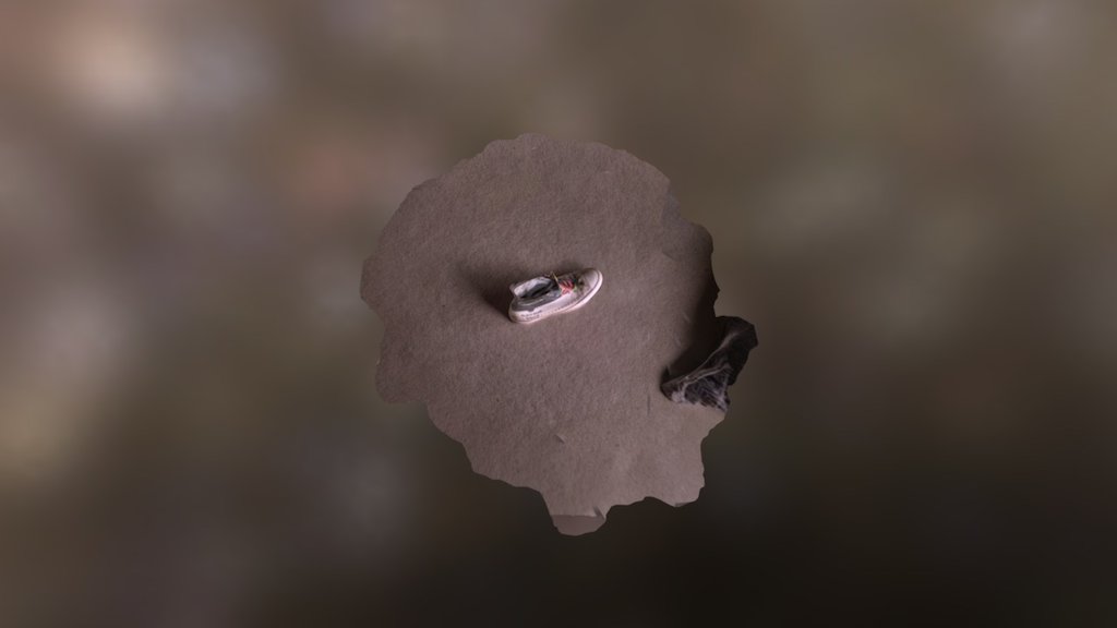 Shoe scan