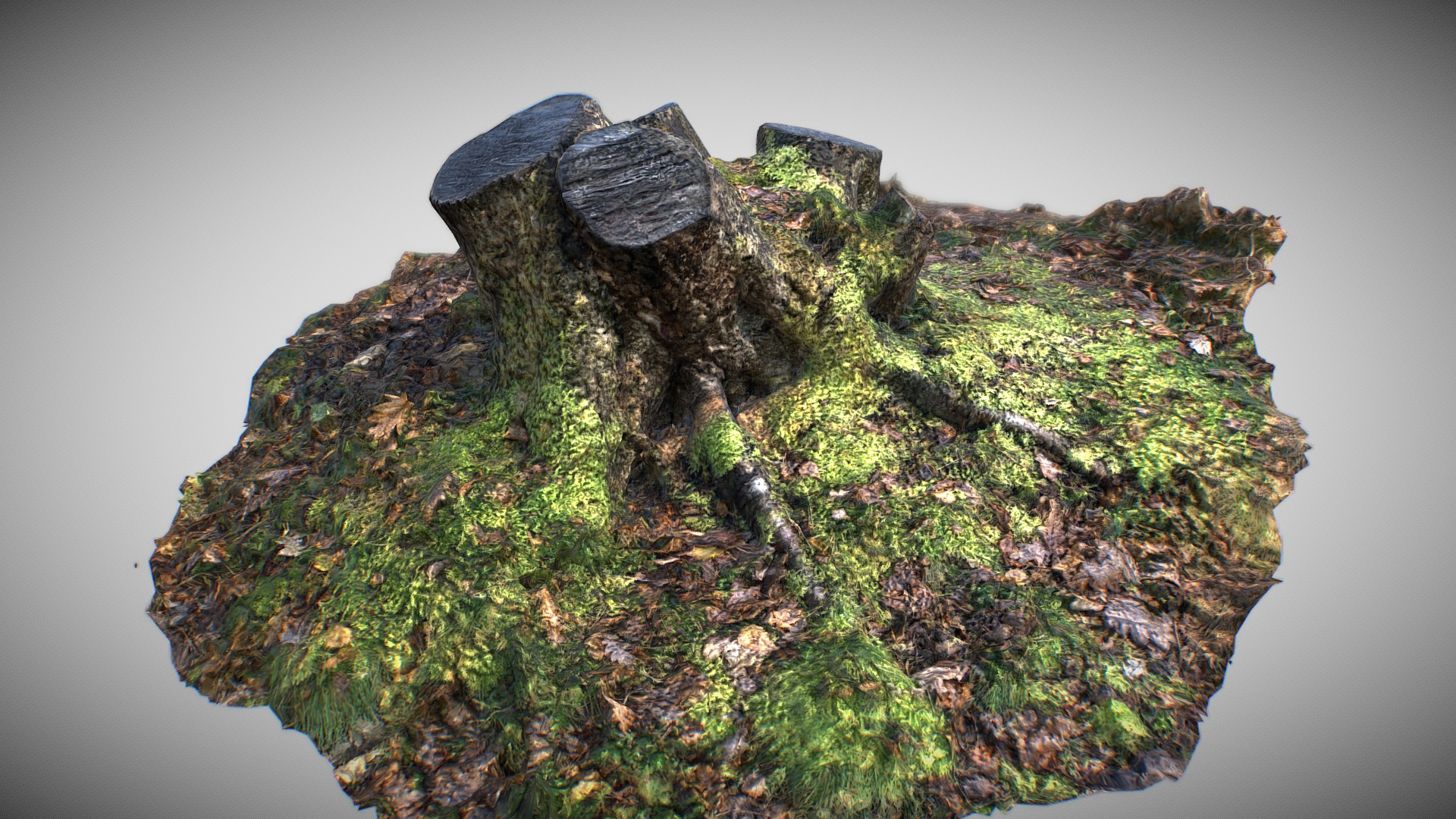 3D model Tree Stump 002: Photogrammetry - This is a 3D model of the Tree Stump 002: Photogrammetry. The 3D model is about a rock with moss growing on it.