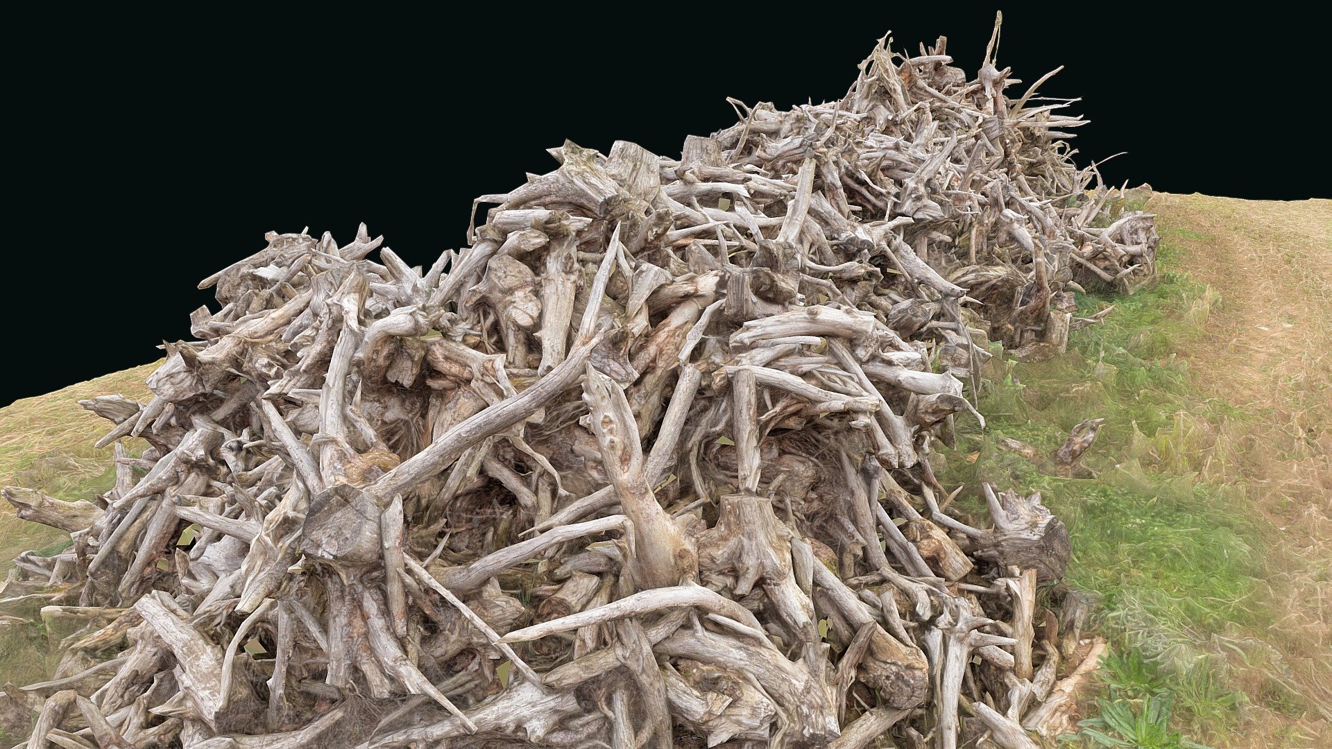 Scan of a Pile of uprooted Roots - Buy Royalty Free 3D model by Saulius ...