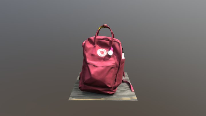 Backpack Photogammetry 2 3D Model