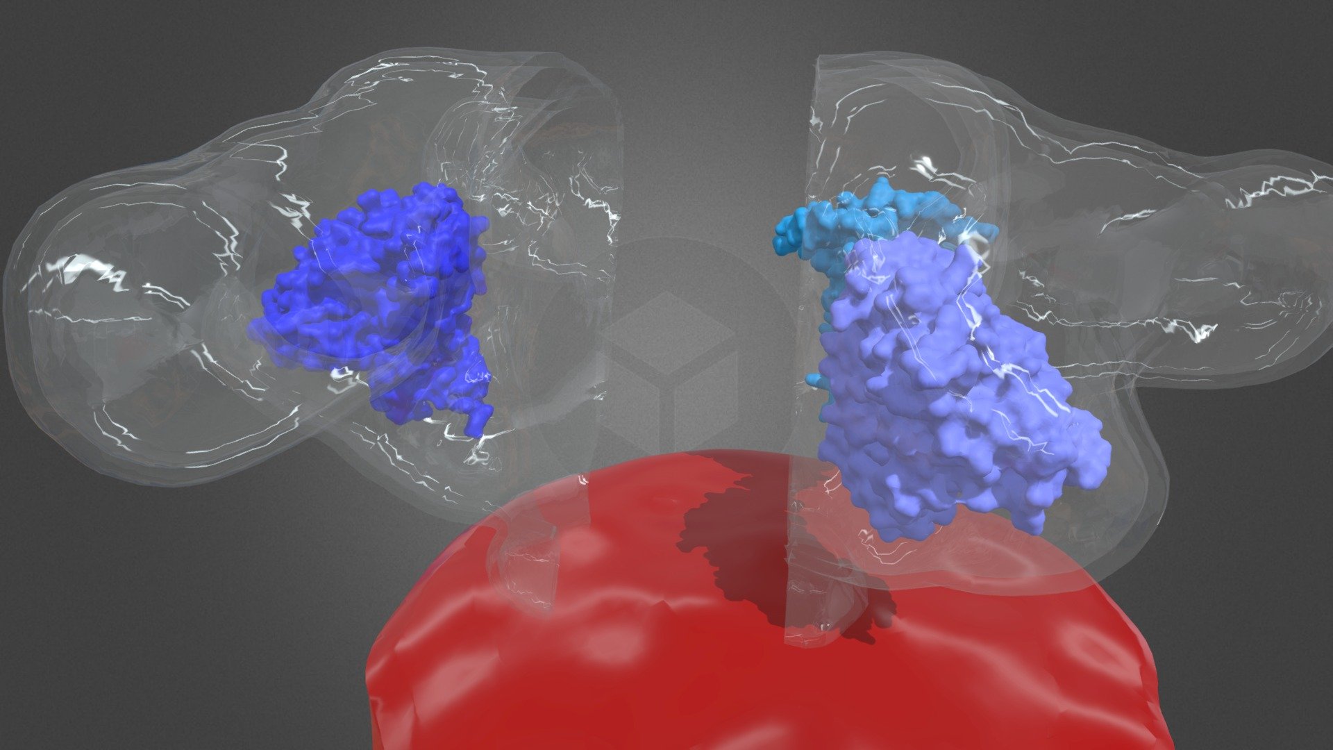 hivproteinfor3dprinting 3D model by AXO Studio [14d5e8b] Sketchfab