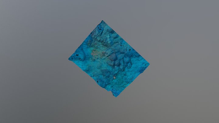 Monterrey Bay - Municipal Wharf with Trident 3D Model