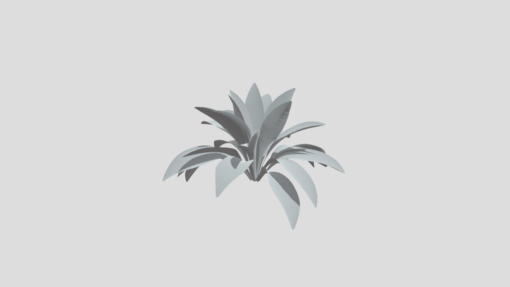 Haran Cast Iron Plant Med