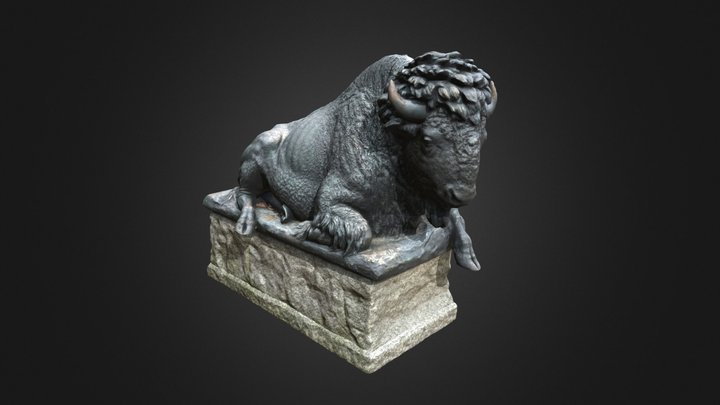 Bison 3D Model