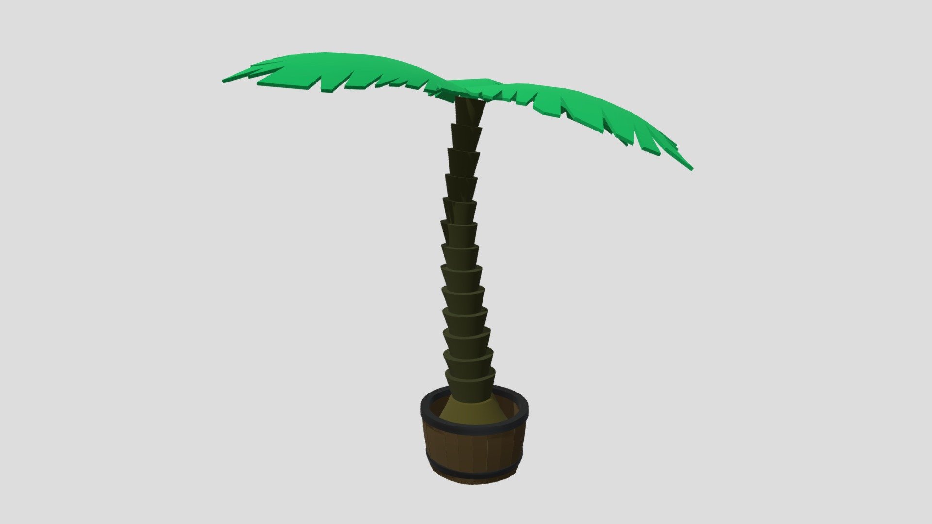 Potted Palm Tree