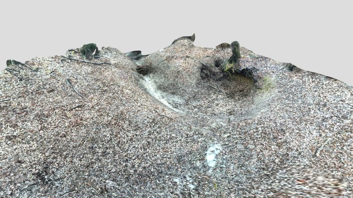 Moreau n°1 (Gouffres) 3D Model