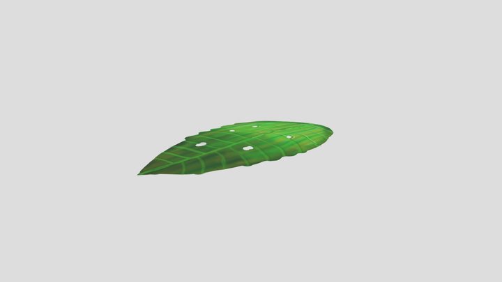 leaf 3D Model