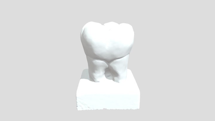 1st_46 3D Model