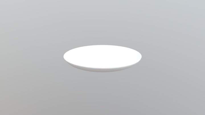 Plate 3D Model