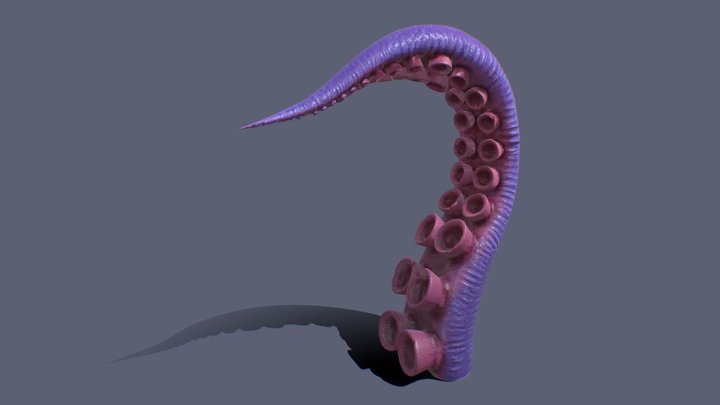 Tentacle 3D Model