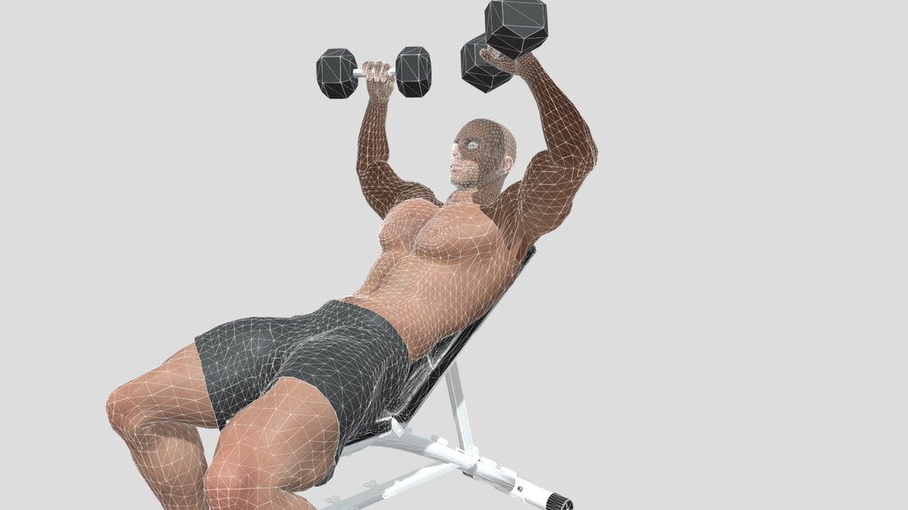 Weight+ Bench.dae
