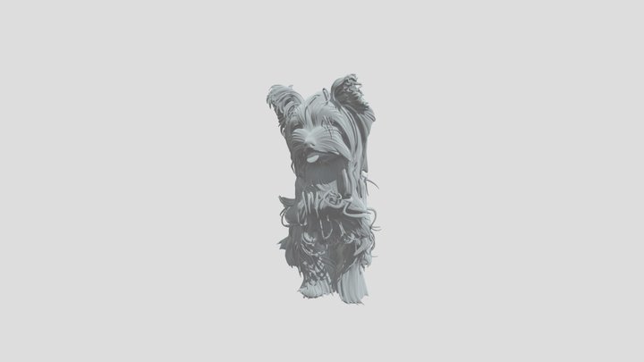 Yorkie on the Beach 3D Model