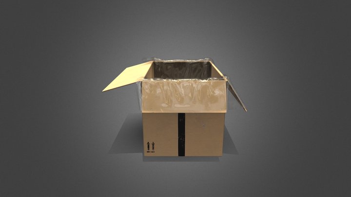 Cardboard box with plastic film 3D Model