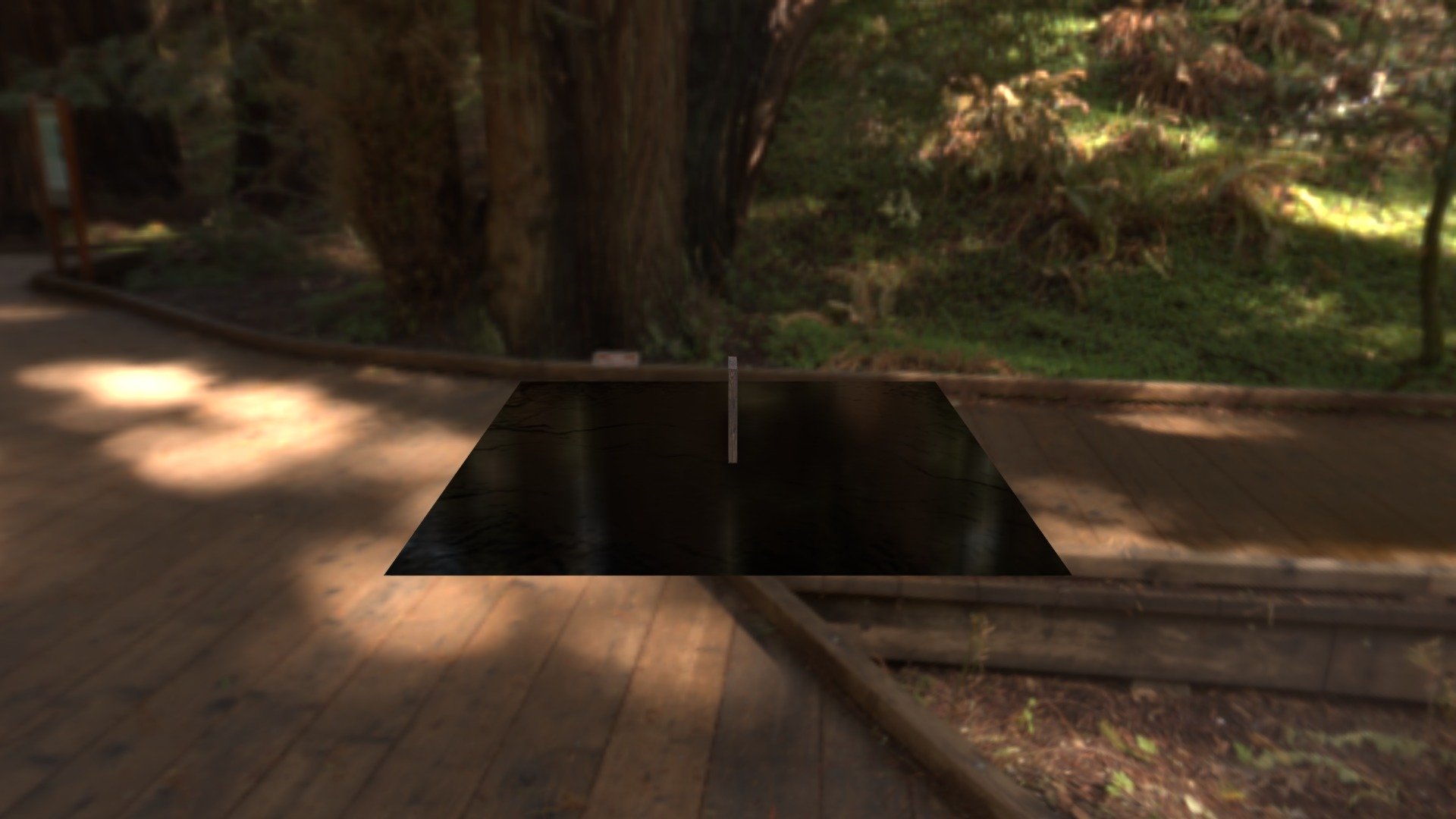 Forest door