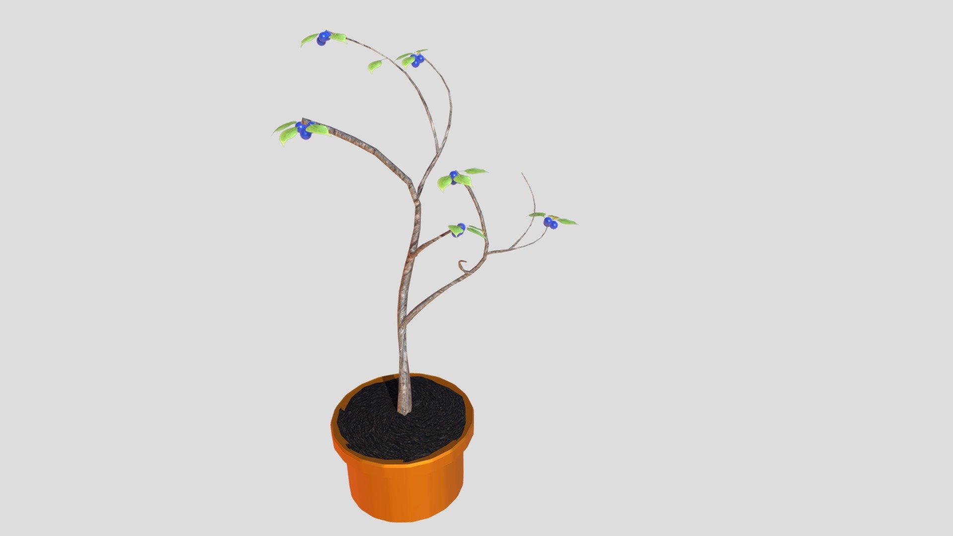 kistler_joshua_0029453251_week8_plant