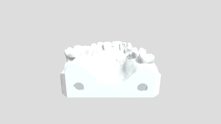 Tortos_ 3D Model