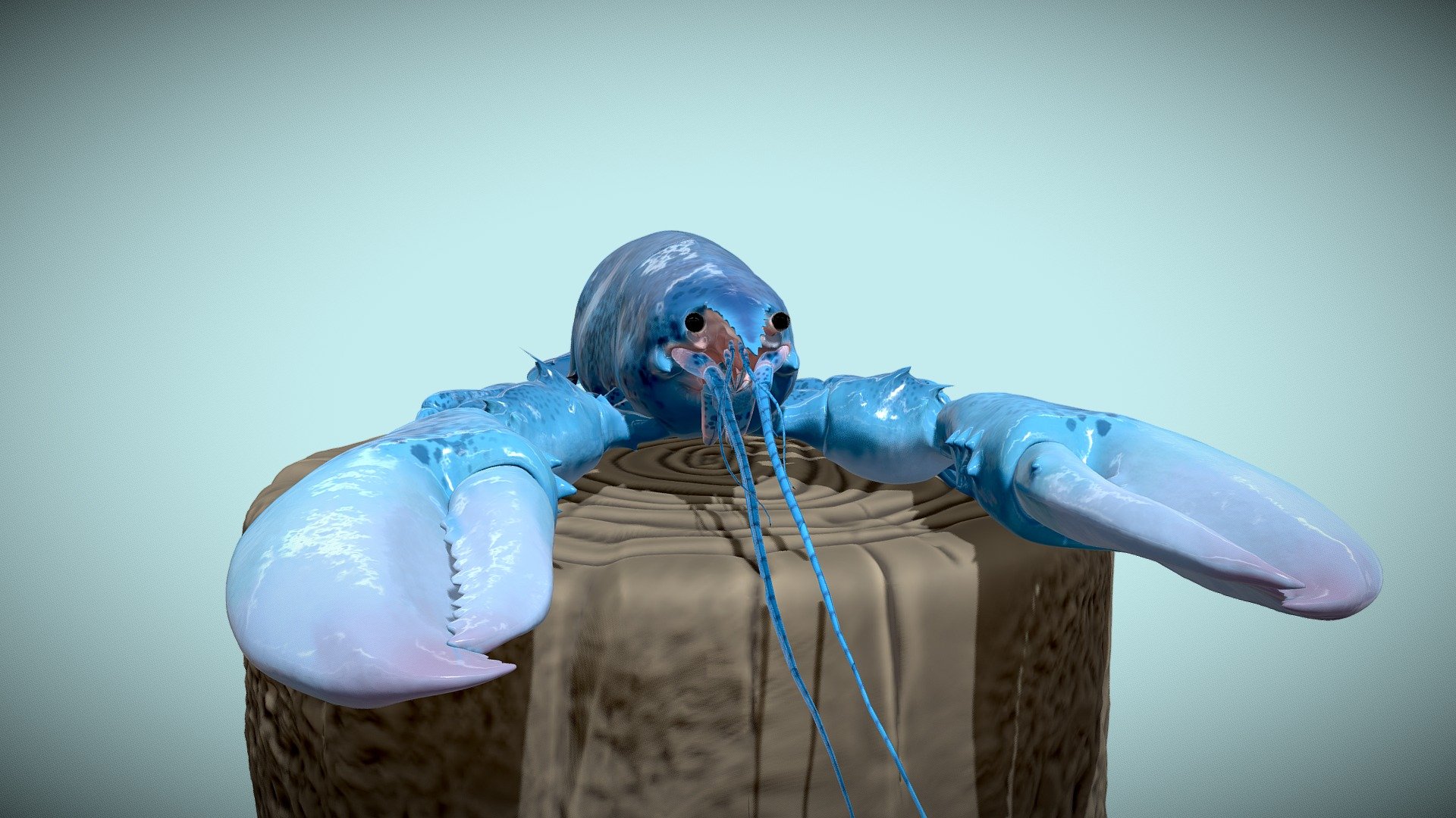 Blue Lobster (meme) - Download Free 3D model by Zyleck (@Zyleck) [14f7cda]