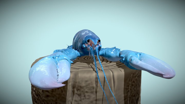 Blue Lobster (meme) 3D Model