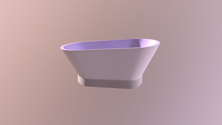 Bath test 3D Model