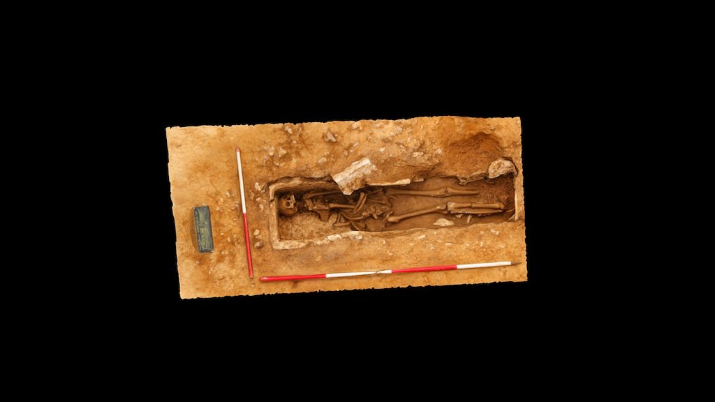 TVAS Skeleton