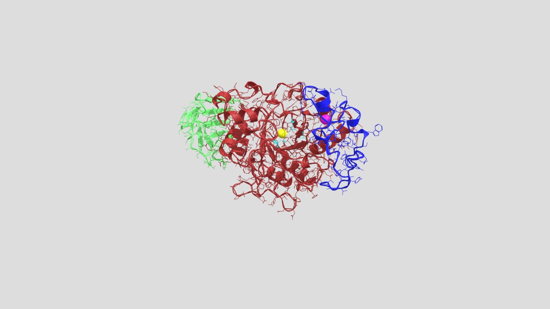 Human salivary alpha-amylase structure