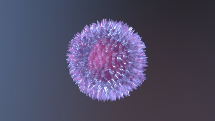 Natural Killer cell 3D Model