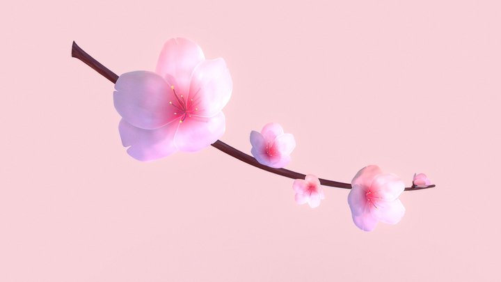 🌸 Cherry Blossom Branch 3D Model