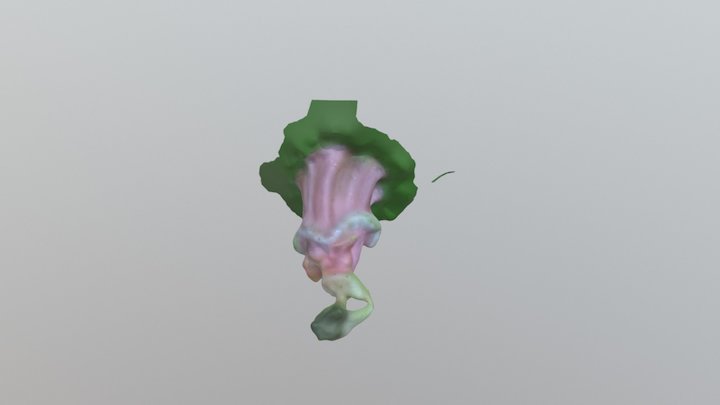 Photogrammetry 3D Model