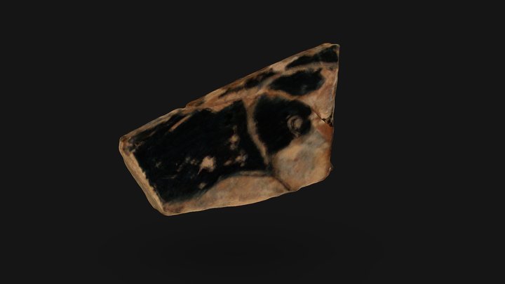 Poggio Colla | 1998-050J 3D Model