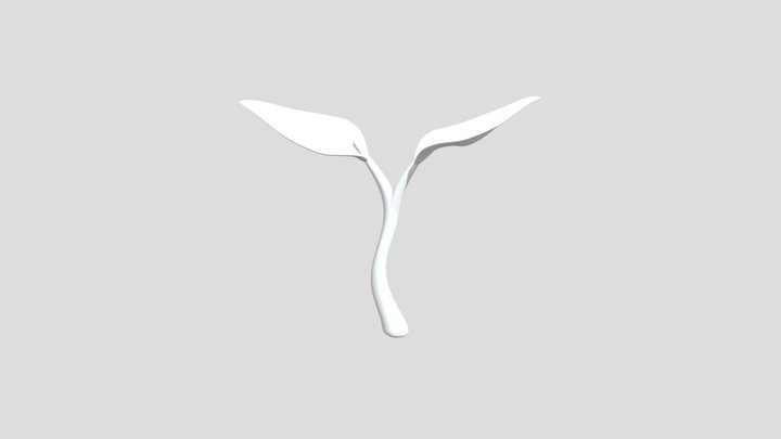 Sprout 3D Model
