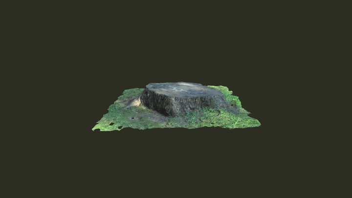 Piedmont Stump - Photogrammetry/Photo Scan 3D Model