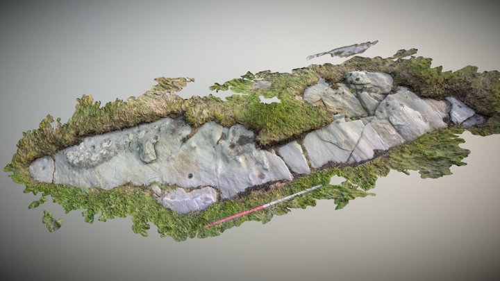 Cup-marked stone on Westing, Unst, Shetland 3D Model