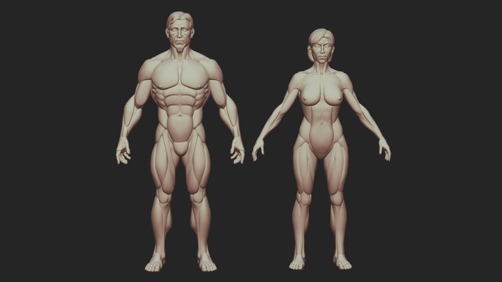 Man and Woman base shapes figures 3D Model