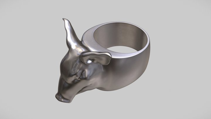Ring High Poly Model 3D Model