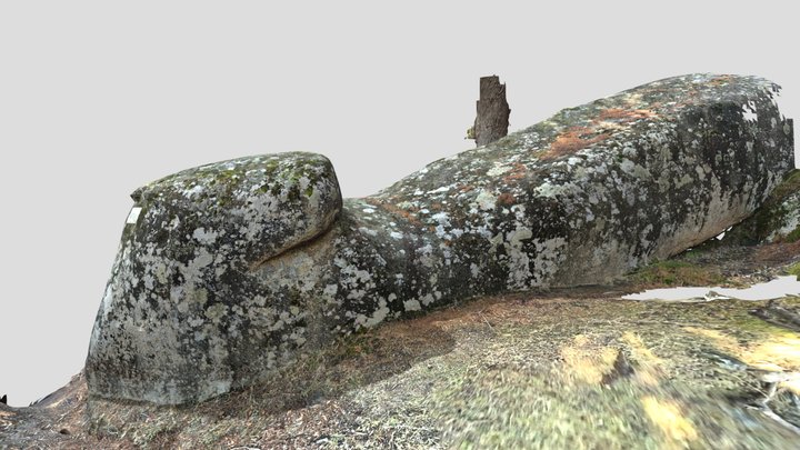 La Pedriza (La Rana) - Lichen rich boulder 3D Model